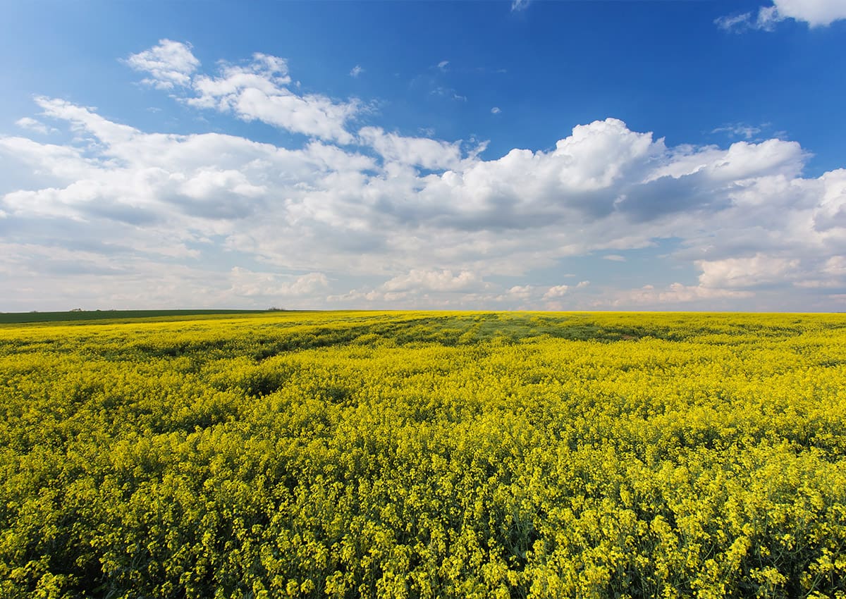 7. Environmental Benefits